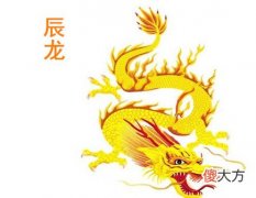 属龙人的办公室布局