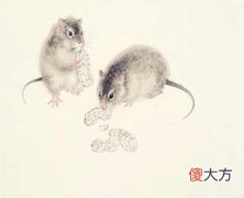 1984年属鼠的人是什么命