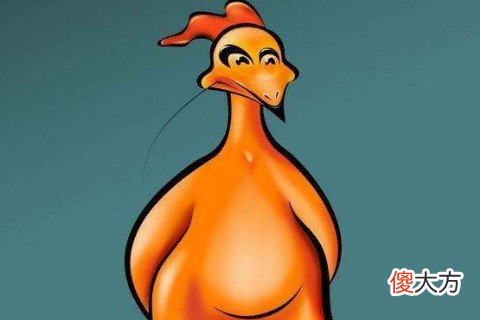 属鸡女人喜欢的男人类型有你吗