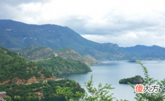 2019年4月属鼠的人事业运势怎么样