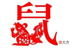 属鼠的男人感情弱点有哪些