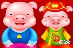 属猪的男人感情弱点有哪些