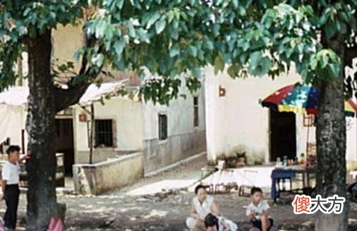 【爱历史】老照片：80年代的深圳火车站，小汽车成群，广告牌接二连三