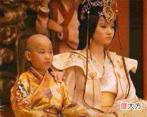 【爱历史】他是西夏王朝的开国皇帝，舅舅谋反，因此给了母亲一杯毒酒
