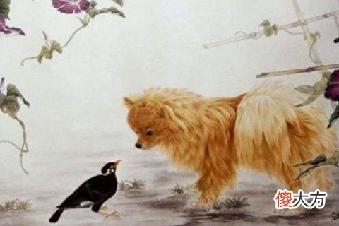 属狗女生爱上你有哪些预兆
