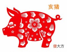 属猪人的办公室布局
