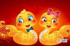 属蛇的人一生命运如何