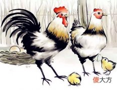 属鸡人家里养什么植物好