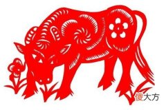 属牛人与什么生肖相冲
