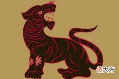 属虎人与什么生肖相冲