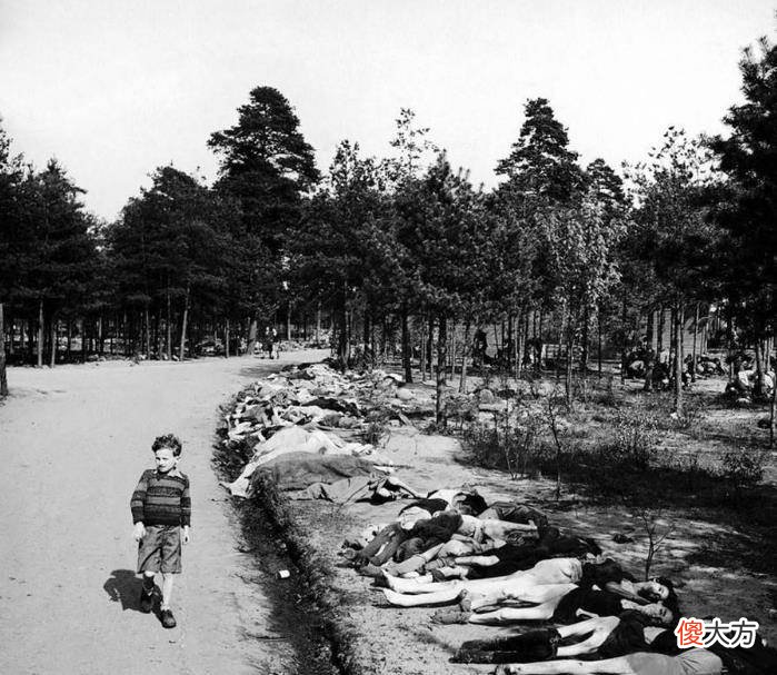 【爱历史】二战期间，德国屠杀了150万吉卜赛人，他们比犹太人还悲惨！