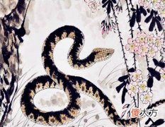 属蛇人的办公室布局