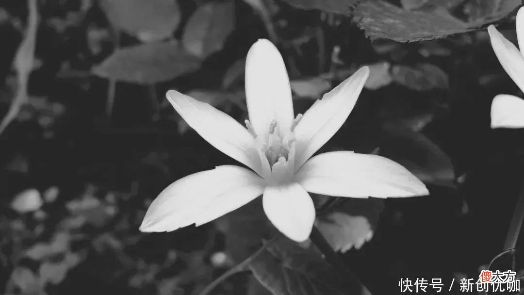 【星座控】好运光临！7月，努力开启逆袭，有望熬过困境，翻身转运的3个生肖