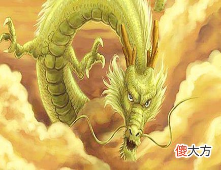 属龙人家里养什么植物好