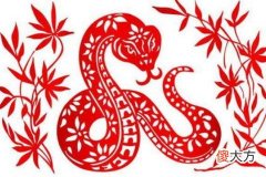 属蛇人与什么生肖相冲