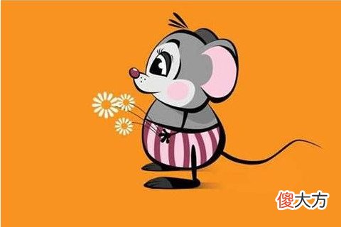 属鼠的男人对待感情如何