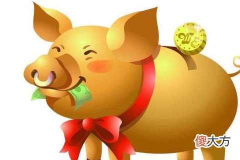 属猪的男人对待感情如何