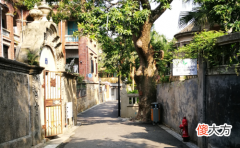 生肖鼠的理财投资忌讳