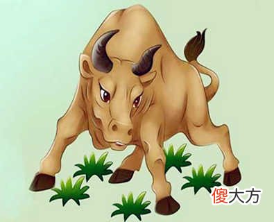 1997年属牛的人是什么命
