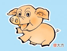 属猪人养鱼有什么讲究