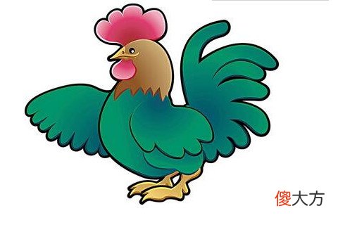 属鸡的人终身命运好不好