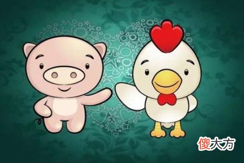 属猪的人终身命运好不好