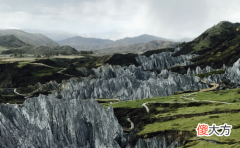 命里带金福神财神常伴左右的生肖