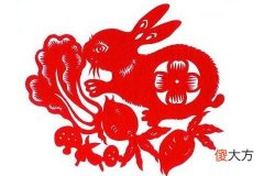 属兔的男生性格及脾气