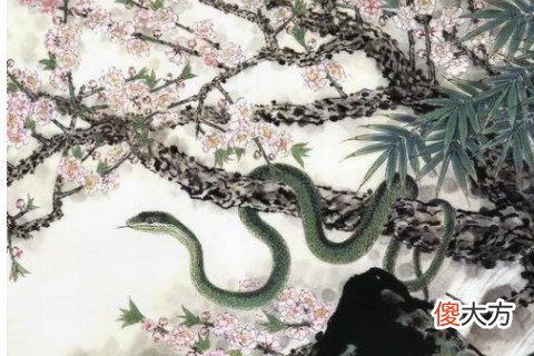 属蛇的男生性格及脾气