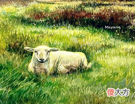 属羊人家里养什么植物好