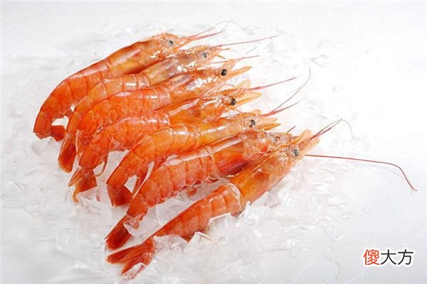 梦见抓虾、捉虾_做梦梦到抓虾、捉虾是什么意思