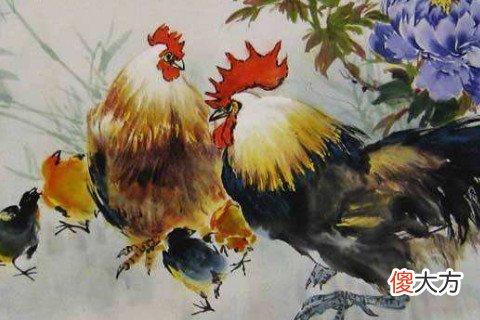 属鸡的男生性格及脾气