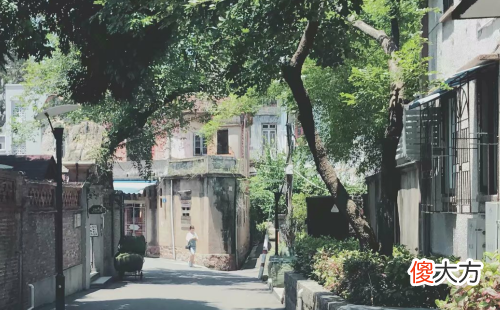 属鼠2019年的风水吉凶方位