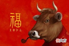 属牛的女生性格及脾气
