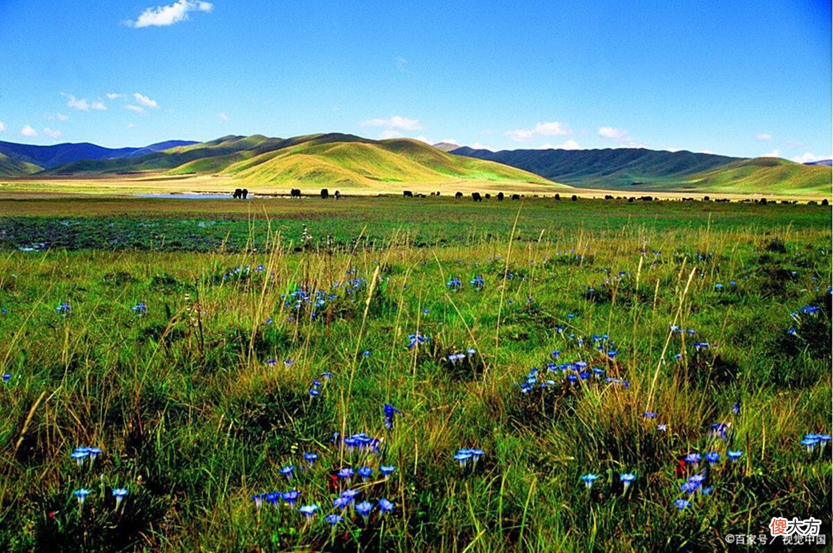 【爱历史】苑枫/得人者昌失人者败，亘古及今，概莫能外