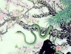 属蛇人家里摆放什么好