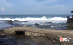 属鼠狮子座2019年运势