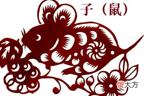 属鼠的女人命运好不好