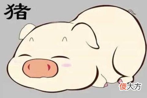 属猪的女人命运好不好