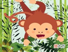 属猴人家里养什么植物好