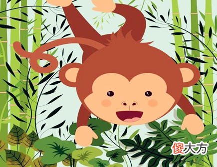 属猴人家里养什么植物好