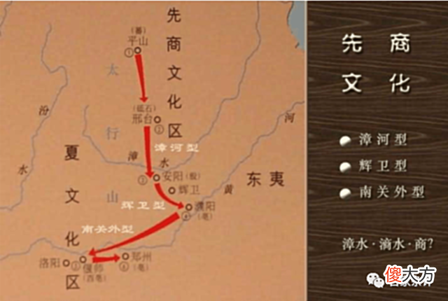 【爱历史】商朝崇尚的玄鸟：不是神秘的凤凰，如今还大规模存在