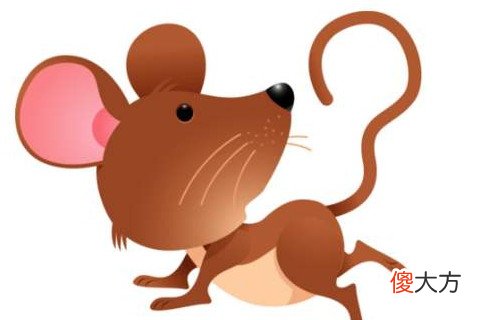 属鼠出生哪个月份最苦