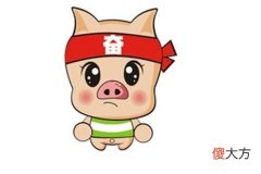 属猪出生哪个月份最苦