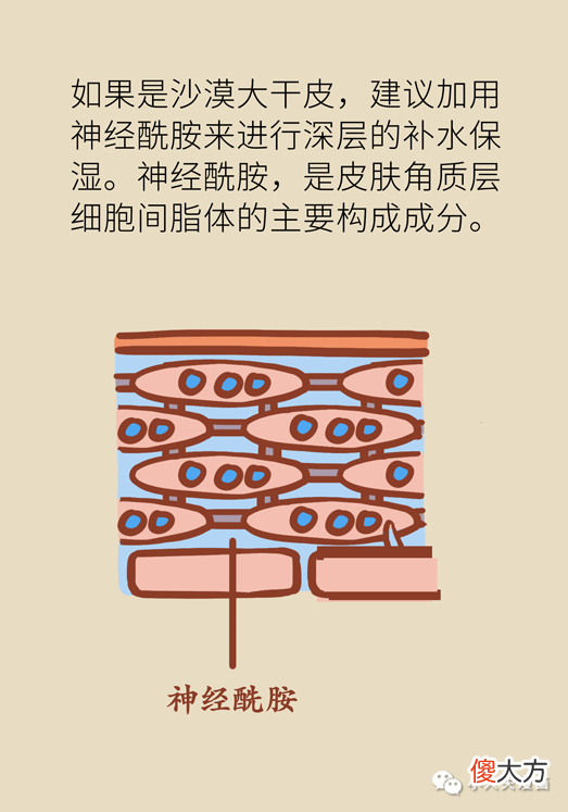 【就爱时尚】细纹、起皮、卡粉好尴尬？一招恢复“少女肌”！