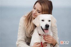 梦见养犬、养狗_做梦梦到养犬、养狗是什么意思