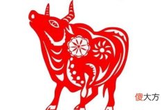 十二生肖中属牛的人几点出生最好命