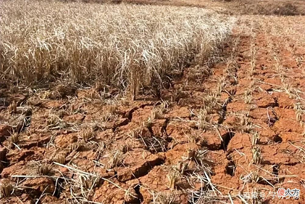 【爱历史】最热的夏天，出现于乾隆八年，热到啥程度？超乎你的想象