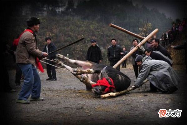梦见杀牛_做梦梦到杀牛是什么意思