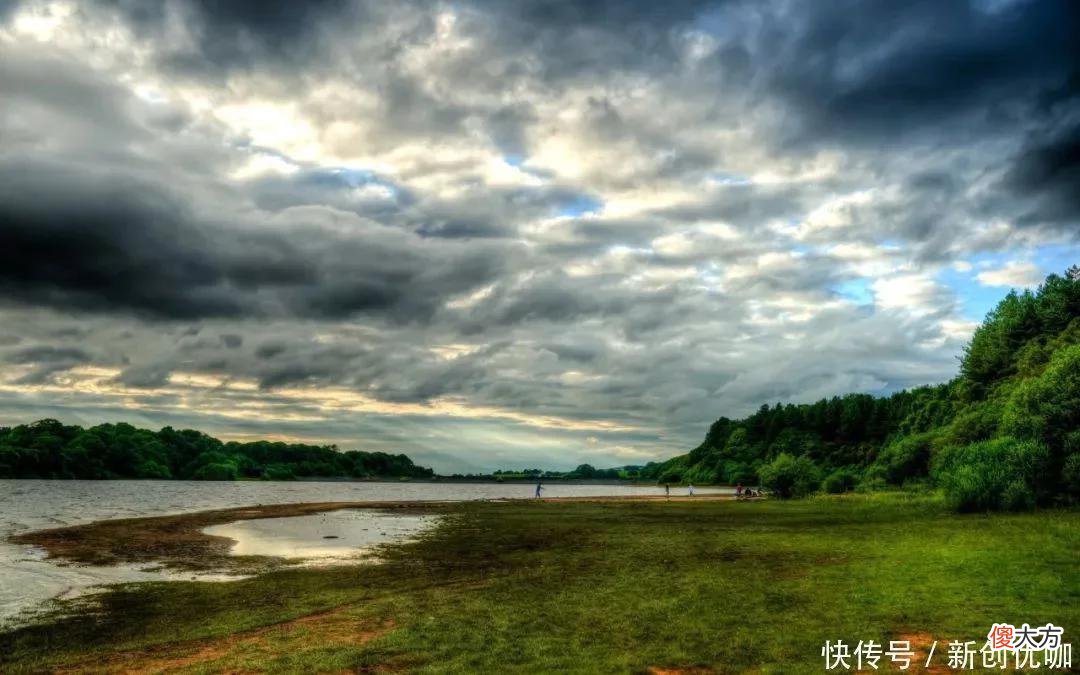 【十二星座】7-9月，喜鹊高歌，福运上涨，事业顺，财势旺，3生肖有望转运翻身